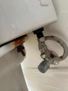 flexi hose Rust WC toilet