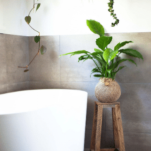 Quick ways to give your bathroom a makeover for Summer