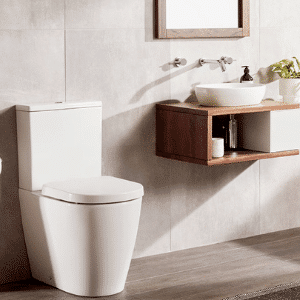 toilet