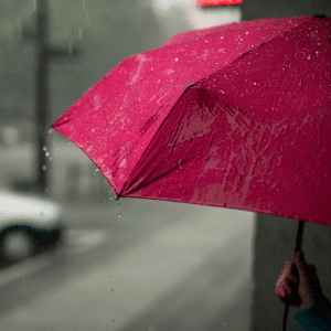 umbrella