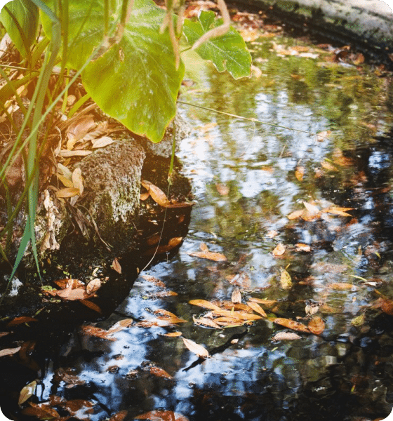 water