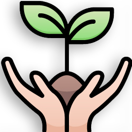 Two hands holding a small plant with two green leaves