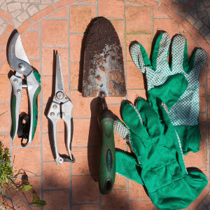 Gardening tools and garden gloves lying on brick paving