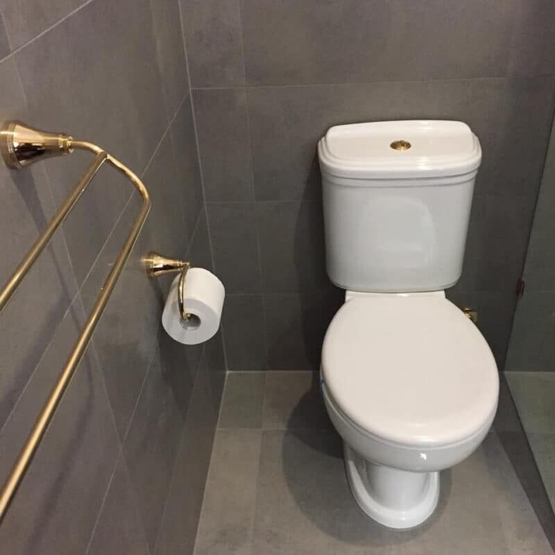 WC Bathroom Toilet With a golden Towel Rail and golden Toilet Roll Holder.